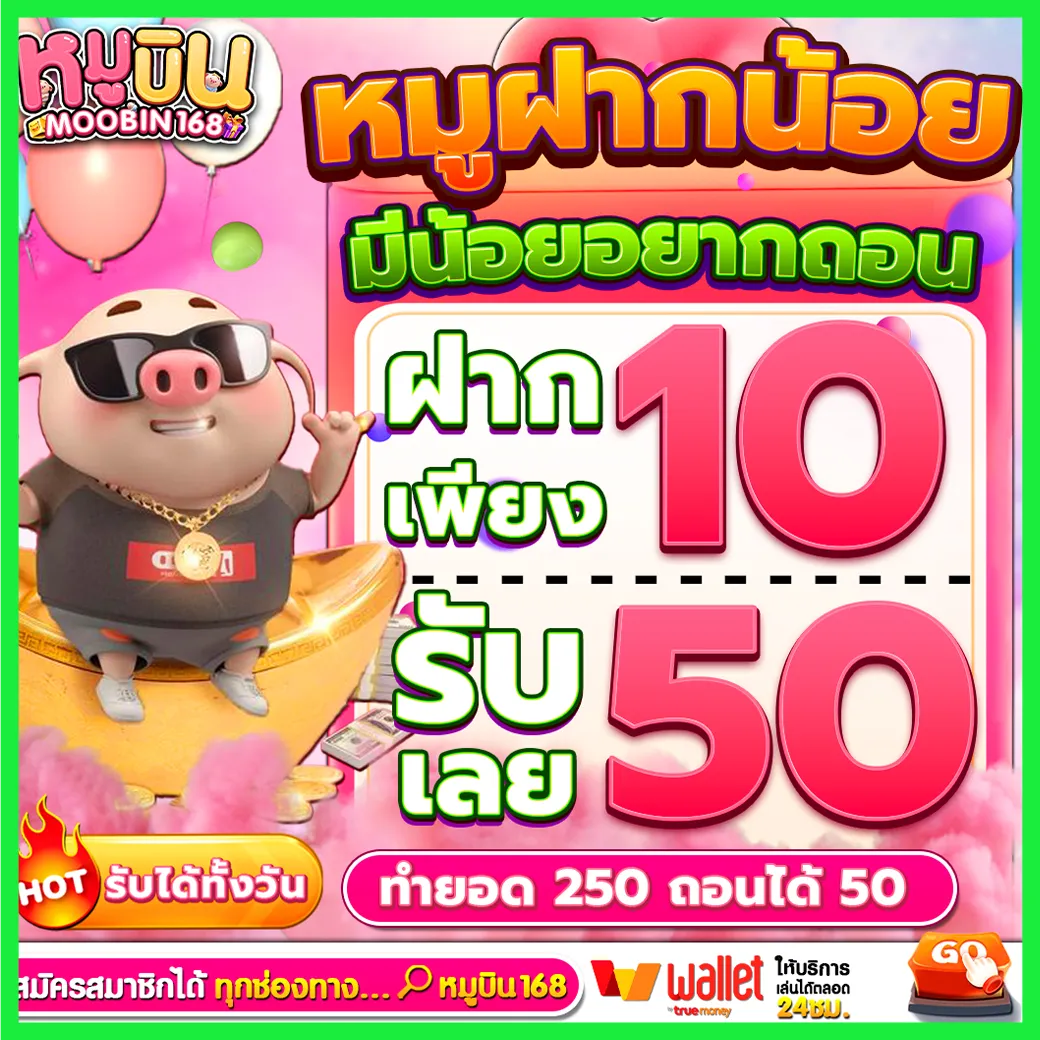 หมูบิน168